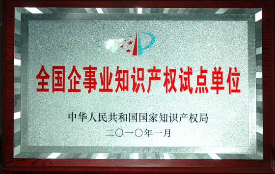 仁和集團(tuán)被確定為“全國企事業(yè)知識(shí)產(chǎn)權(quán)試點(diǎn)單位”