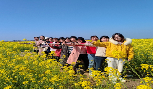 賞 油 菜 花